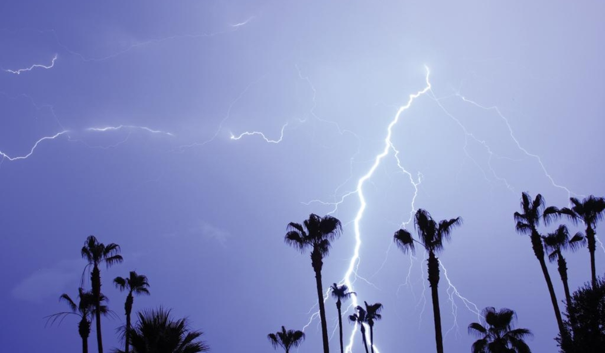 Lightning havoc in Bihar