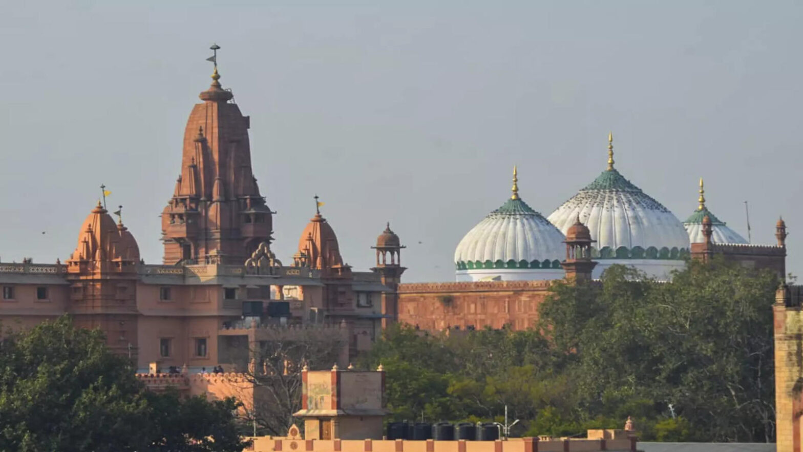 Shahi Idgah Masjid Case