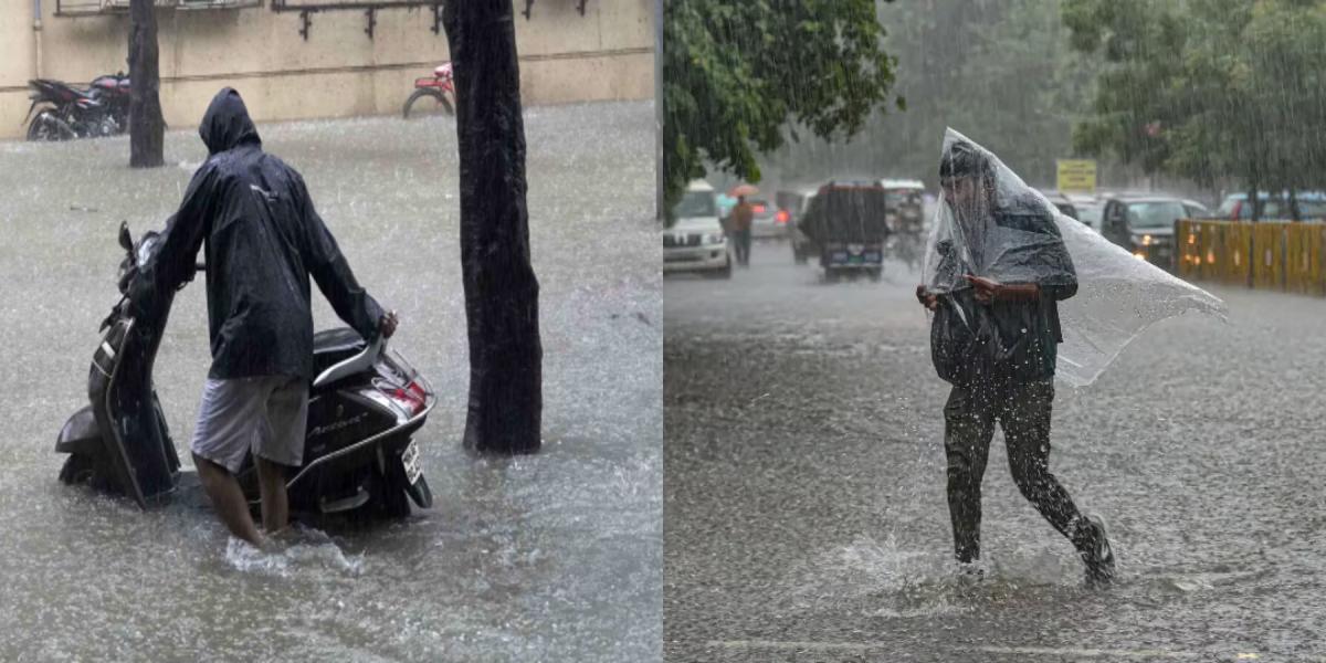 Maharashtra Rain