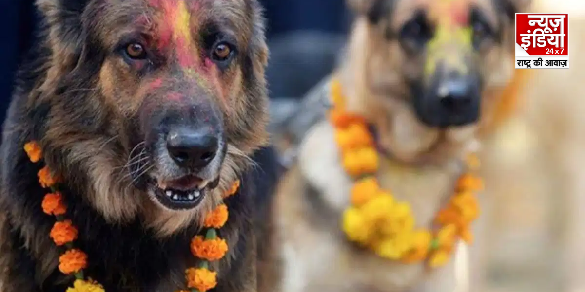 भारत का अनोखा मंदिर जहां देवी-देवताओं से पहले होती है कुत्तों की पूजा